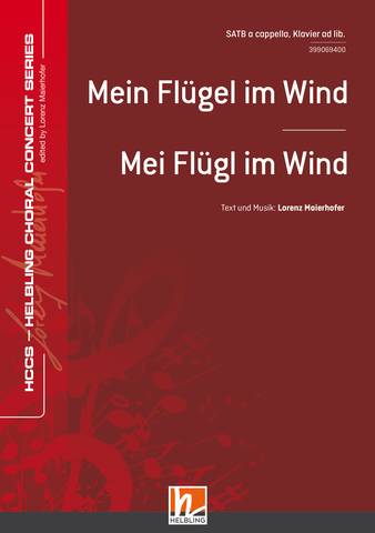 Mein Flügel im Wind