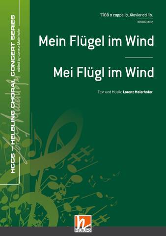 Mein Flügel im Wind